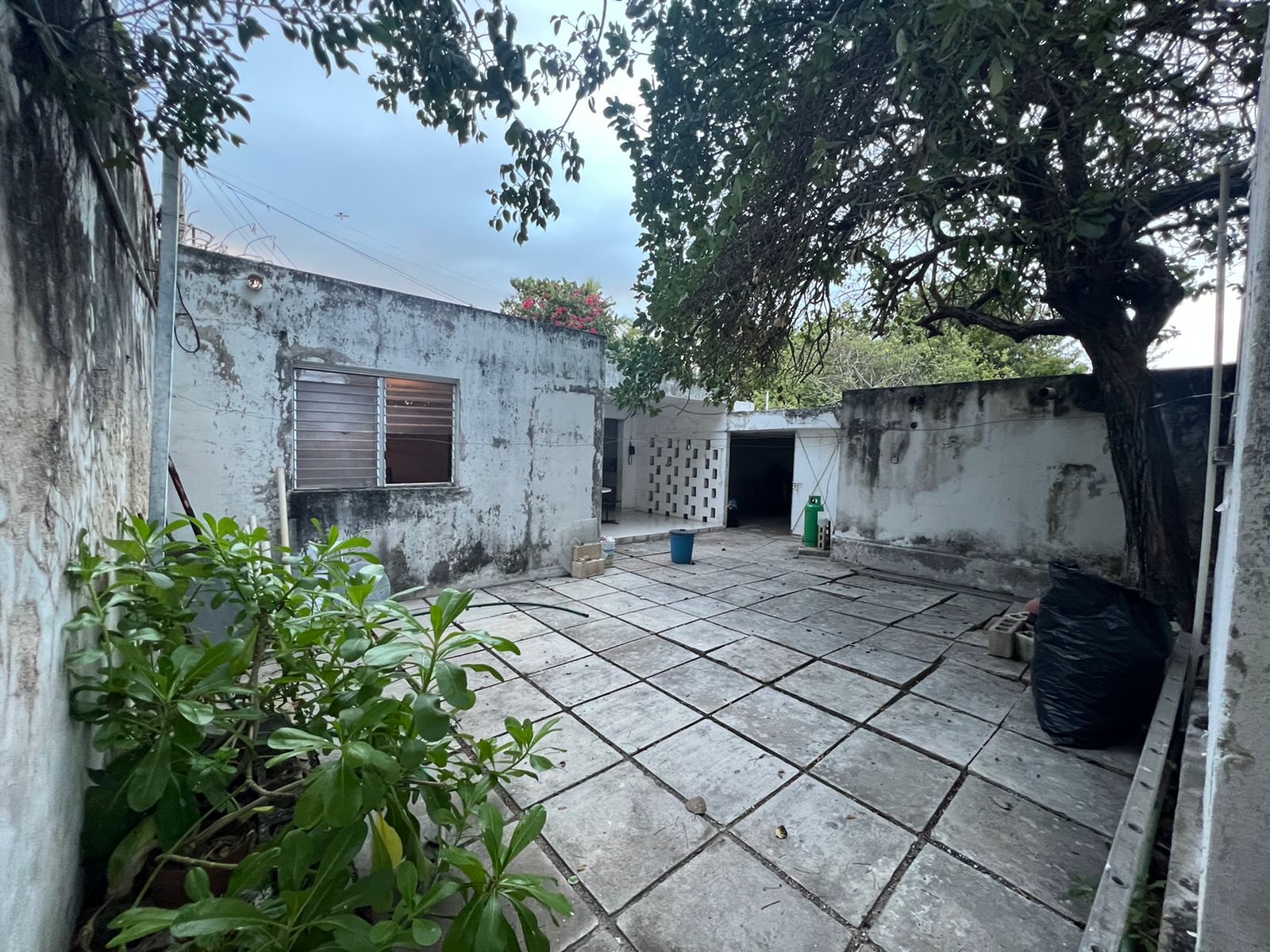 Casa en renta en Bellavista · Casa 32