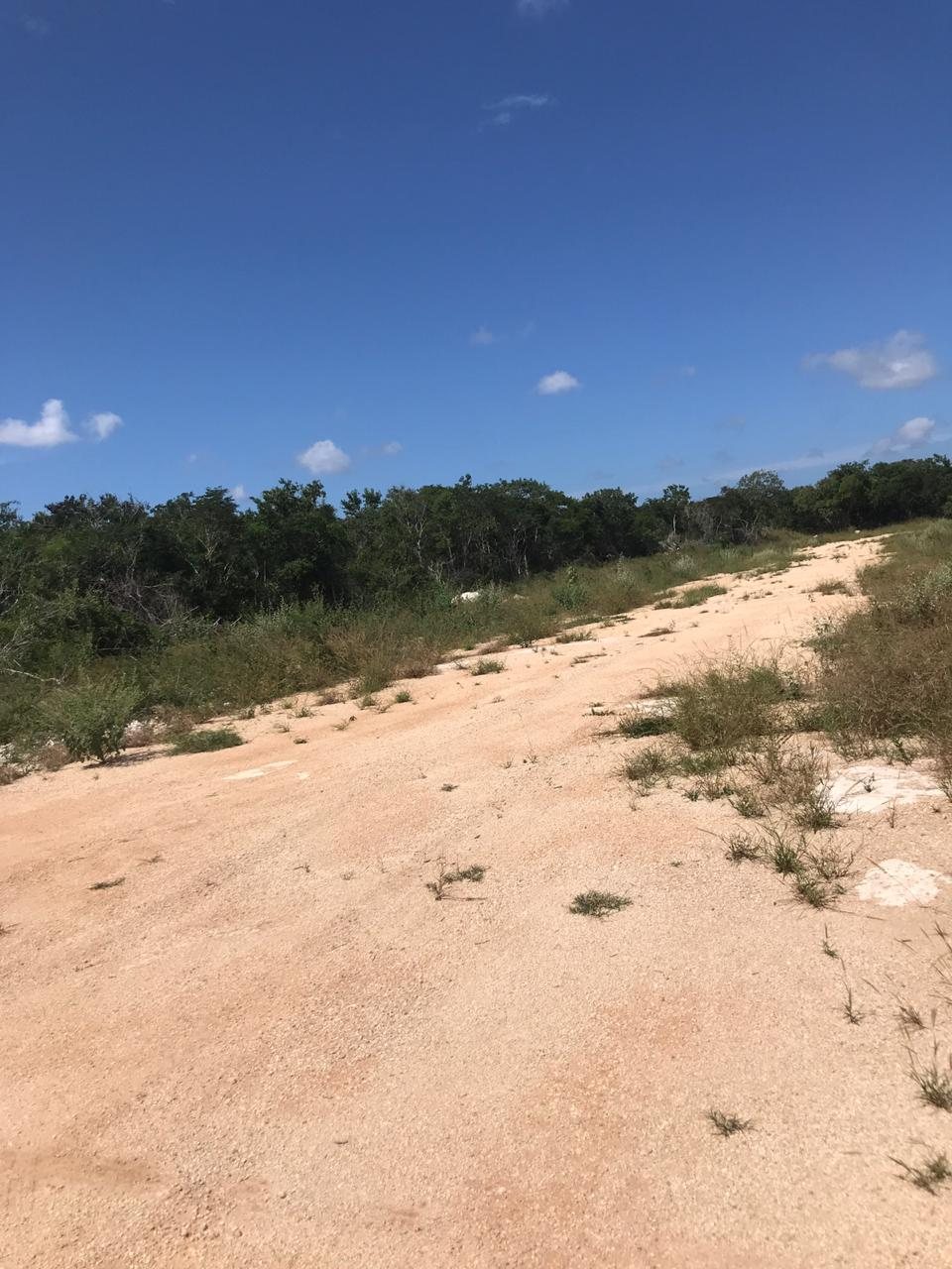Terreno de 2 hectáreas en Komchén
