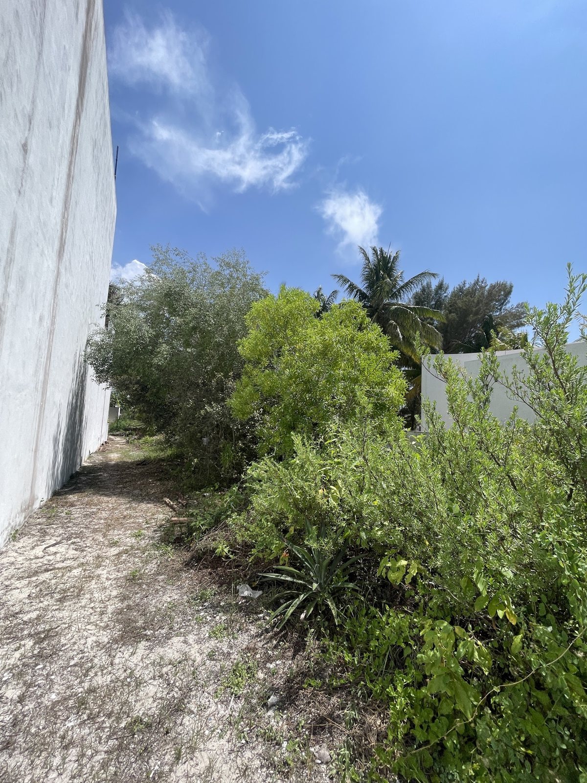 San Bruno · terreno en venta