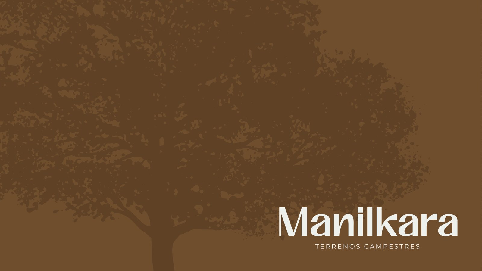 Terrenos campestres en Yaxkukul · Manilkara